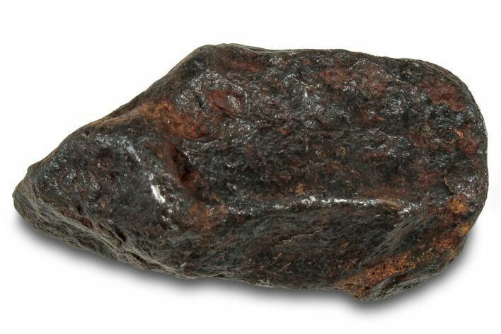 Canyon Diablo Iron Meteorite ( g) - Arizona #319676